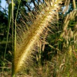 IMG_25581225_092818