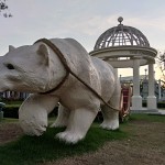 IMG_25590112_180236