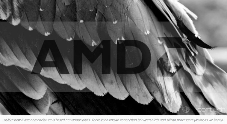โรดแมพ AMD ‘Avian APU’ รุ่นใหม่ถูกขยายจาก 2017 จนถึง 2019