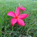 IMG_20170702_164712