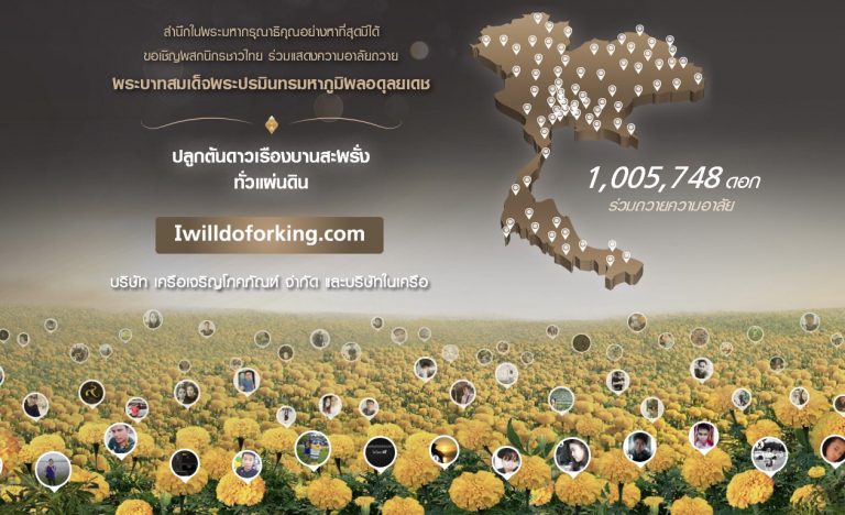เครือเจริญโภคภัณฑ์และทรู คอร์ปอเรชั่น น้อมสำนึกในพระมหากรุณาธิคุณอย่างหาที่สุดมิได้ ร่วมปลูกต้นดาวเรืองให้เหลืองอร่ามบานสะพรั่งทั้งแผ่นดิน