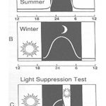 slide21