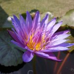 IMG_20180121_122604636