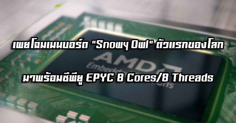 เผยโฉมเมนบอร์ด Snowy Owl ตัวแรกของโลก – มาพร้อมซีพียู EPYC 8 Cores/8 Threads