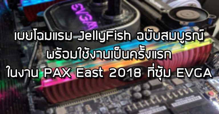 เผยโฉมแรม JellyFish ฉบับสมบูรณ์พร้อมใช้งานเป็นครั้งแรก ในงาน PAX East 2018 ที่ซุ้ม EVGA