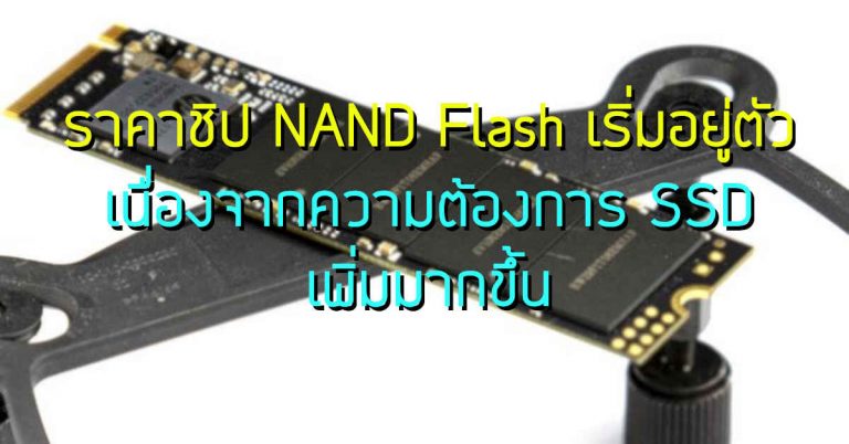ราคาชิป NAND Flash เริ่มอยู่ตัว เนื่องจากความต้องการ SSD เพิ่มมากขึ้น