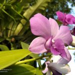 IMG20181202162422