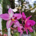 IMG_20181202_164328