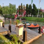 IMG_20181202_170453