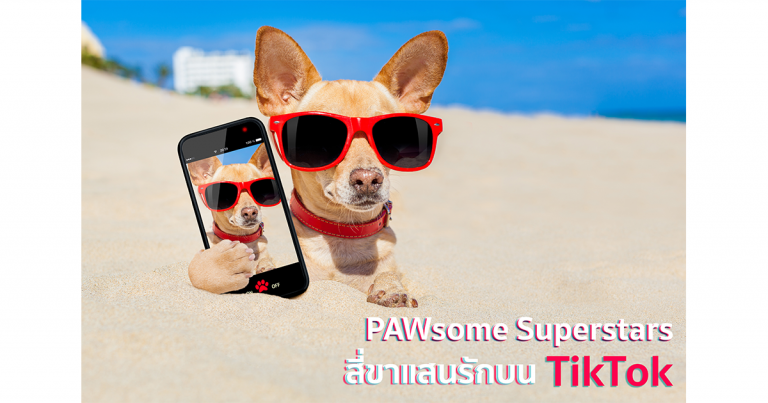 PAWsome Superstars: สี่ขาแสนรักบน TikTok
