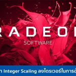 รส่เ้ทเ้ด