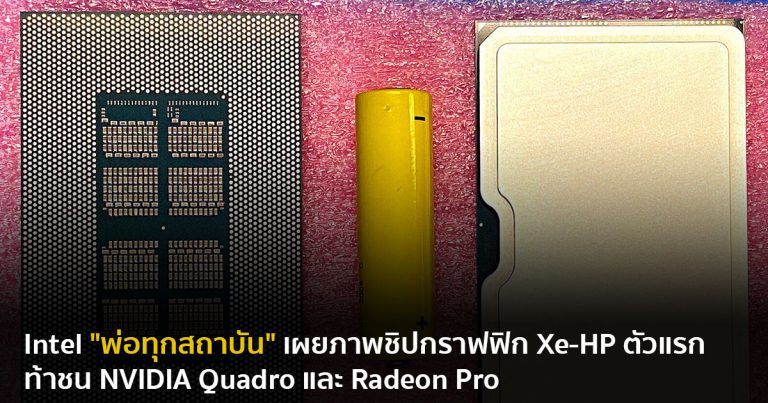 Intel “พ่อทุกสถาบัน” เผยภาพชิปกราฟฟิก Xe-HP ตัวแรก ท้าชน NVIDIA Quadro และ Radeon Pro