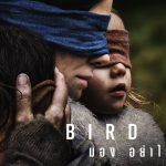 Bird Box