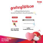 True iService 2