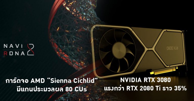 การ์ดจอ AMD “Sienna Cichlid” มีแกนประมวลผล 80 CUs – NVIDIA RTX 3080 แรงกว่า RTX 2080 Ti ราว 35%