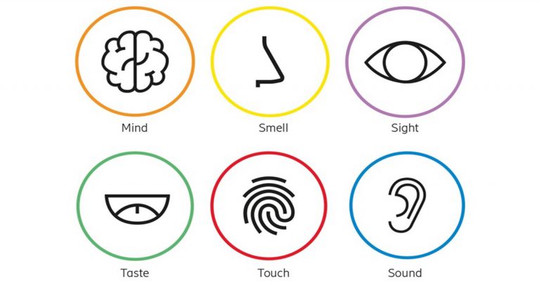 เทคโนโลยี 5G กับการสานฝันสู่ระบบอินเทอร์เน็ตของประสาทสัมผัส (Internet of Senses)