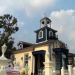 IMG_20210208_162943_5