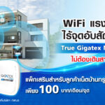 TrueGigatex Mesh Wifi