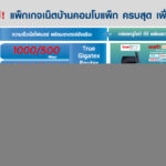 TrueGigatex Smart Plus_1