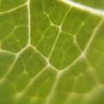 IMG_20210419_135307