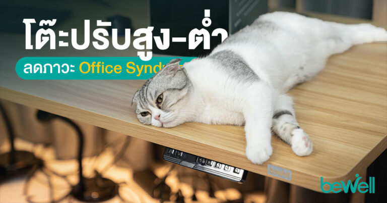 รีวิวโต๊ะปรับระดับสำหรับคนรักสุขภาพ จาก Bewell ลดปัญหาภาวะ Office Syndrome