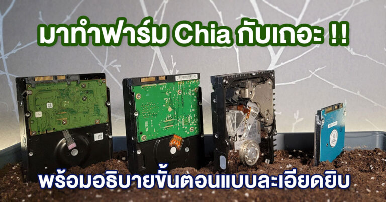 [How To] มาทำฟาร์มเหรียญ Chia (XCH) กัน พร้อมแนะนำวิธีตั้งค่าแบบละเอียดยิบ