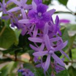 IMG_20220820_092602