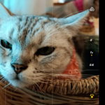 Screenshot_20220815_143517