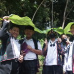 บ้านป่าซางนิเงิน_เชียงราย_True Cover