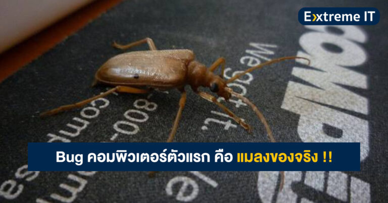 [Extreme History] รู้หรือไม่? Bug คอมพิวเตอร์ตัวแรก คือ แมลงของจริง !!