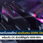 ปก e dfxcsdxit-afphoto