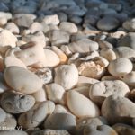 IMG_20240330_171639