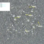 2024-07-21-image-8-j